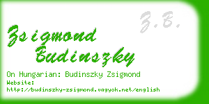 zsigmond budinszky business card